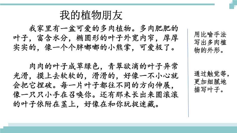 范文2:我的植物朋友 课件01
