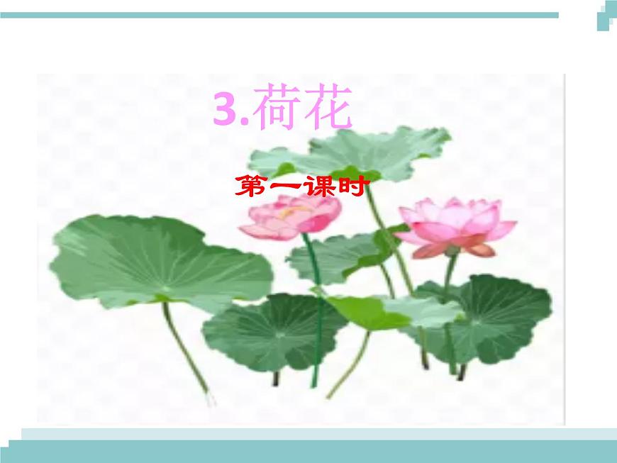 3 《荷花》課件第1頁