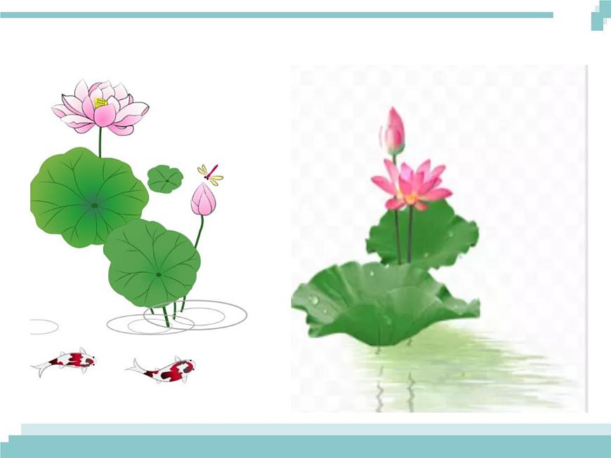 3 《荷花》課件第2頁