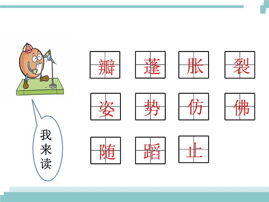 3 《荷花》課件第5頁