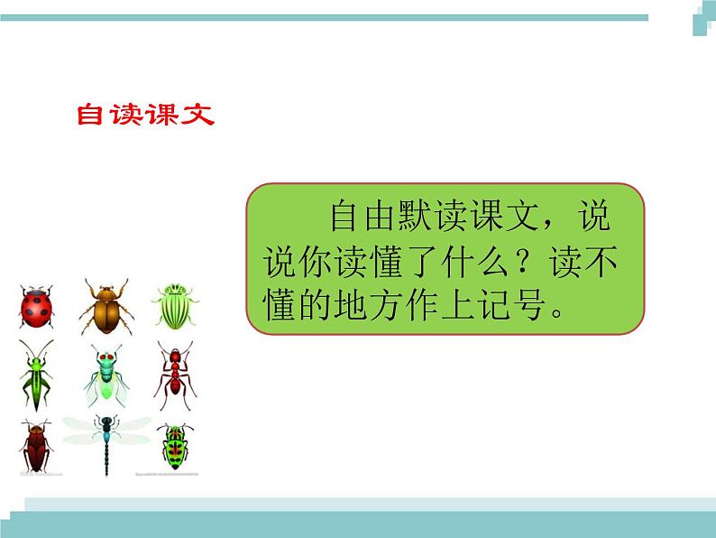 4 《昆虫备忘录》课件第3页