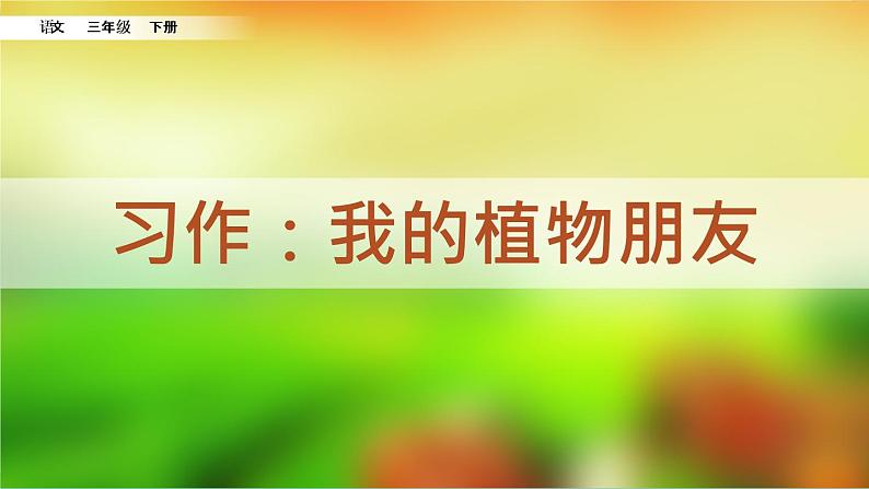 《习作:我的植物朋友》课件06