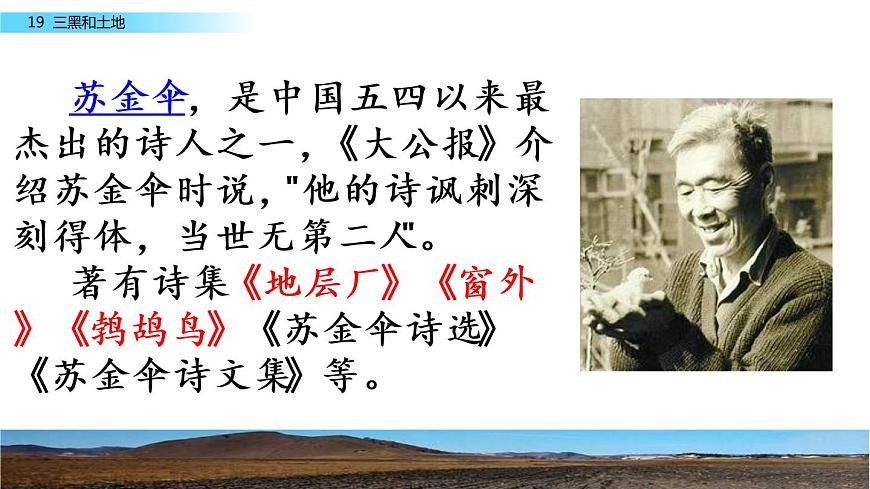 19《三黑和土地》課件第3頁