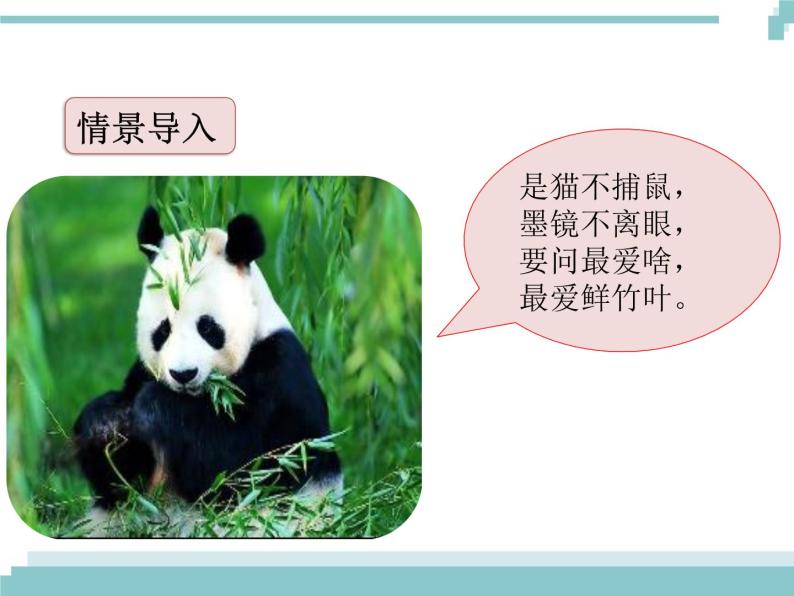 《习作：国宝大熊猫》课件02