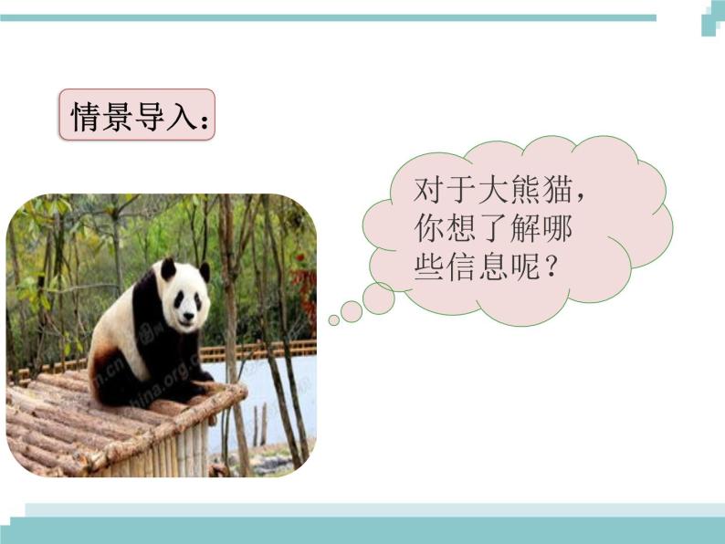 《习作：国宝大熊猫》课件03
