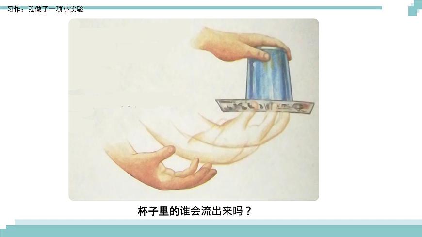《習作:我做了一項小實驗》課件第3頁