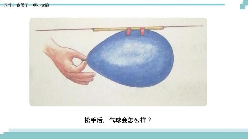 《習作:我做了一項小實驗》課件第4頁