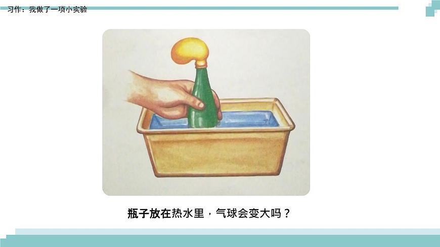 《習作:我做了一項小實驗》課件第5頁