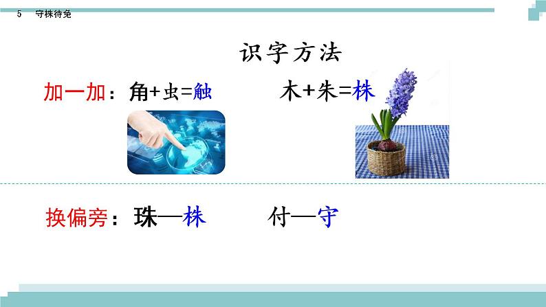 5 《守株待兔》课件第8页
