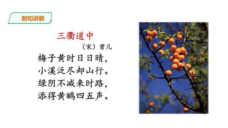 《三衢道中》课件第5页