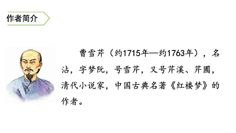 8《红楼春趣》课件02