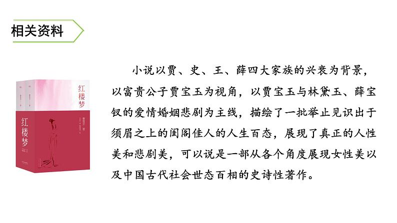 8《红楼春趣》课件04