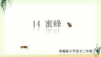 小学语文人教部编版三年级下册第四单元14 蜜蜂教课ppt课件