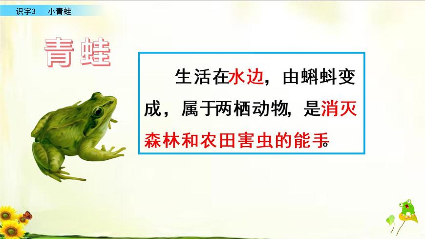 識字3《小青蛙》精品課件第3頁