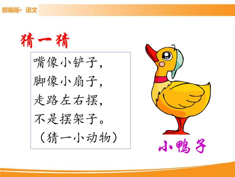 人教部编版语文一年级下册 5 小公鸡和小鸭子 课件03