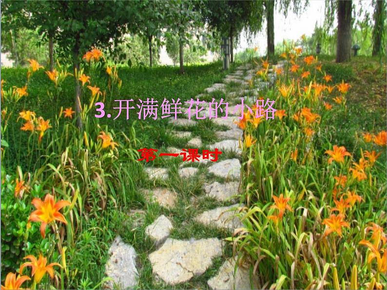 3 开满鲜花的小路 课件第1页