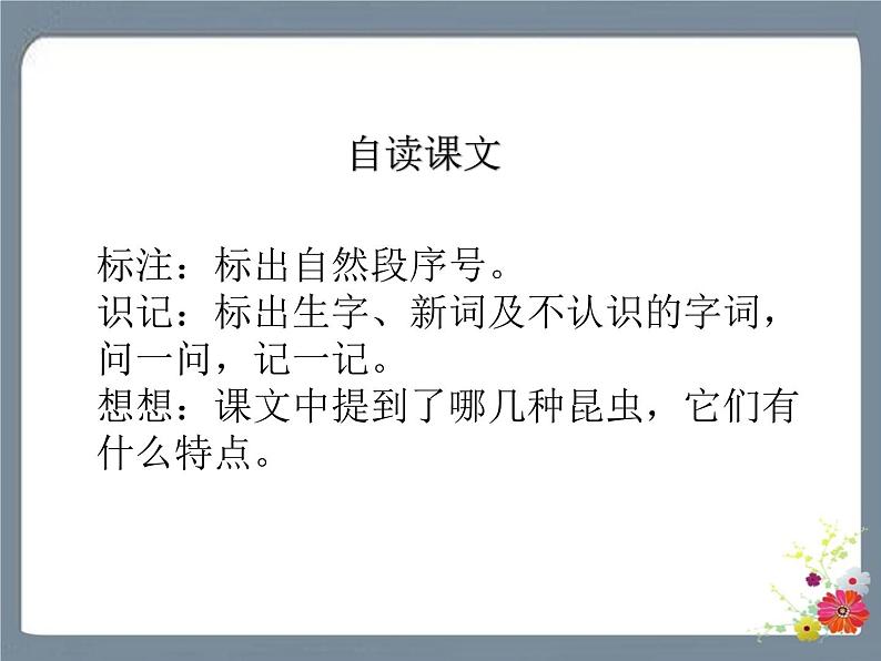 11 我是一只小虫子 课件第3页