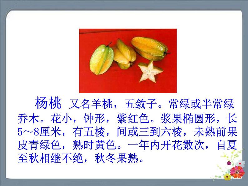 13 画杨桃 课件第2页