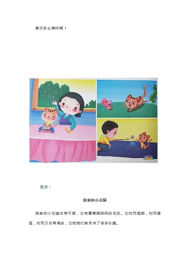 部编版二年级下册语文看图写话范文精选 学案03