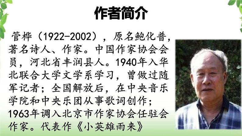 18《小英雄雨来》第一课时 课件第4页