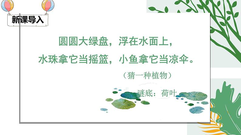 (精品·课堂教学课件)13 荷叶圆圆01