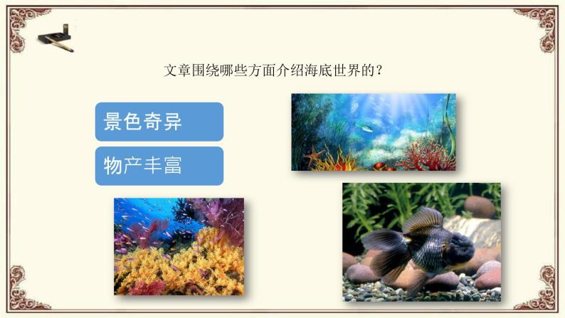 23《海底世界》课件