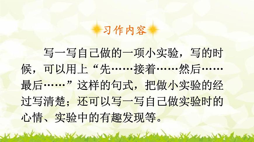第四單元《習(xí)作:我做了一項小實驗》課件第2頁