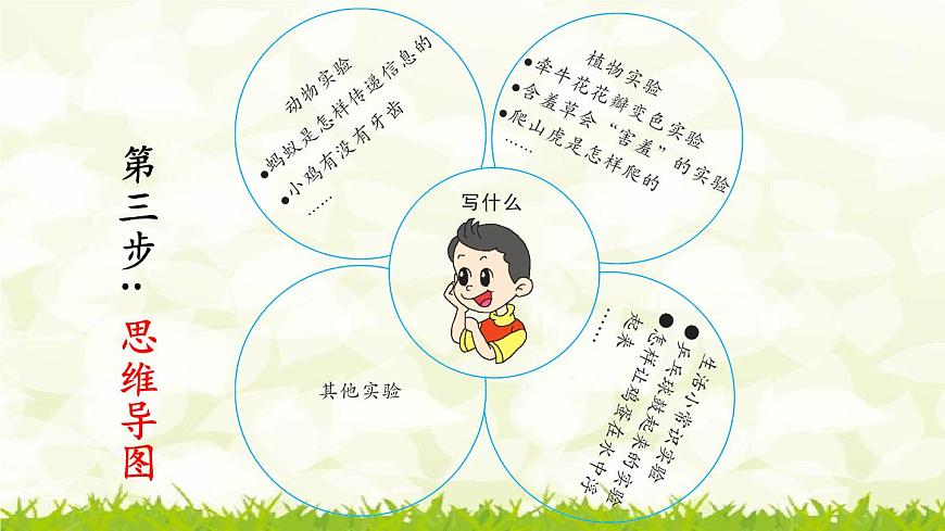 第四單元《習(xí)作:我做了一項小實驗》課件第4頁
