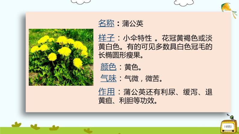 小学语文人教部编版三年级下册习作:我的植物朋友试讲