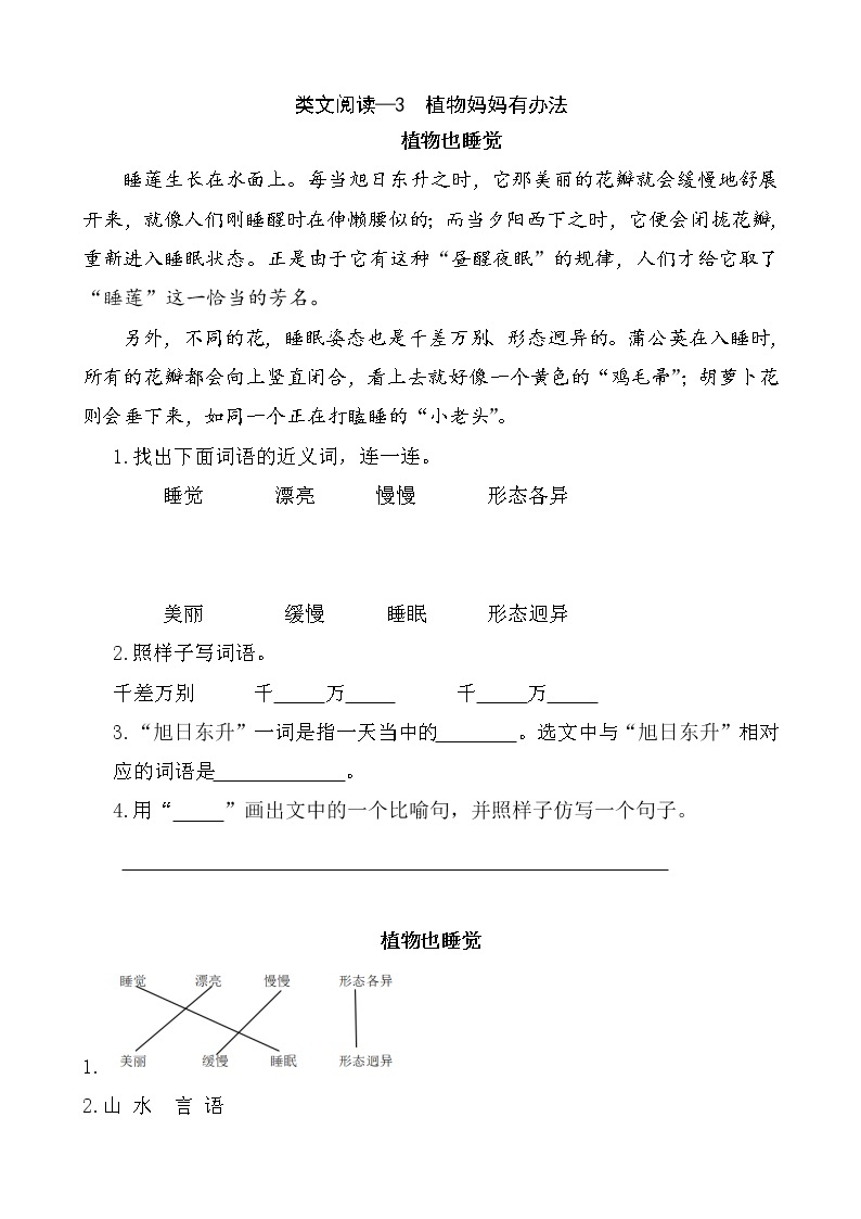 3《植物妈妈有办法》类文阅读 试卷01