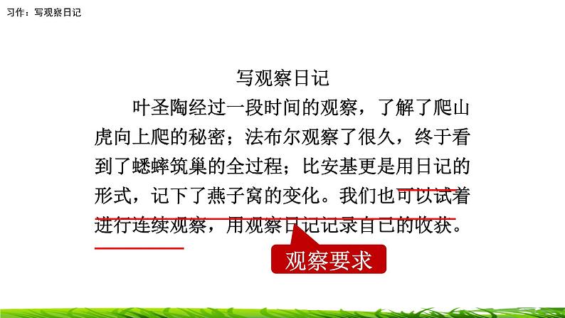 第三单元《习作:写观察日记》课件07