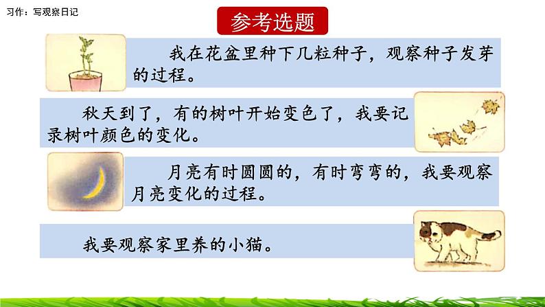 第三单元《习作:写观察日记》课件08
