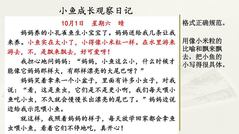 第三单元《习作:写观察日记》课件01