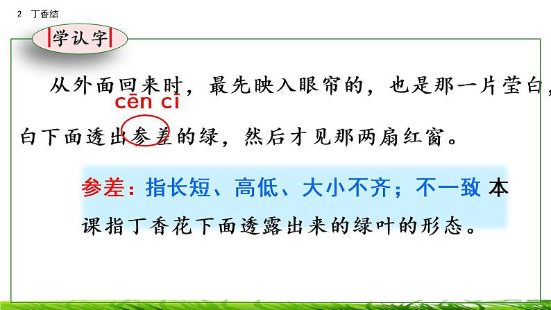 2《丁香结》课件第7页