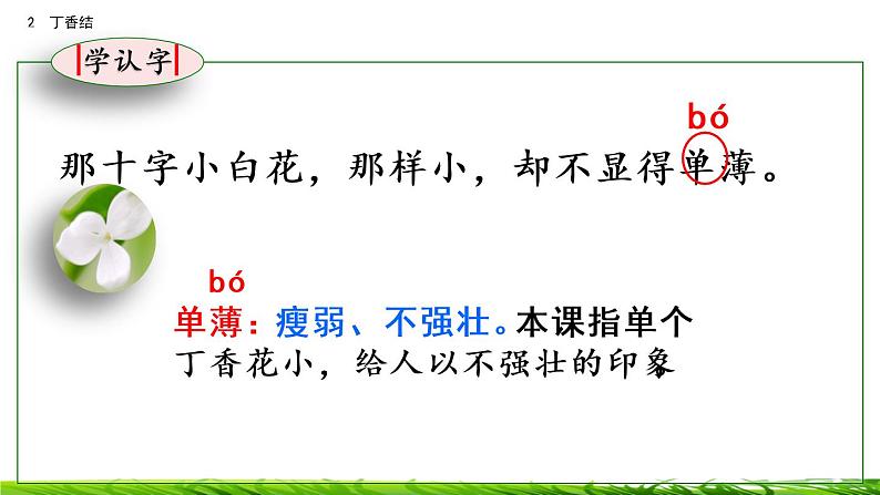 2《丁香结》课件第8页