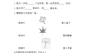 小学语文人教部编版 (五四制)一年级上册课文 11 秋天当堂检测题