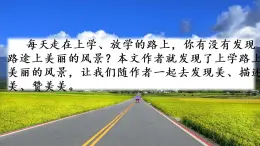 5 鋪滿(mǎn)金色巴掌的水泥道 課件+視頻
