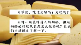 11 一塊奶酪 課件+視頻