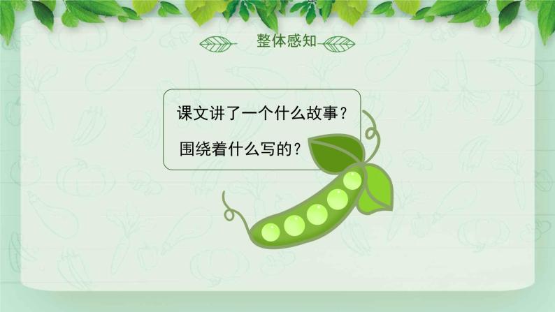 部编版小学语文四年级上册《一个豆荚里的五粒豆》PPT06