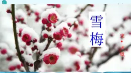 9.古诗三首 《雪梅 》课件