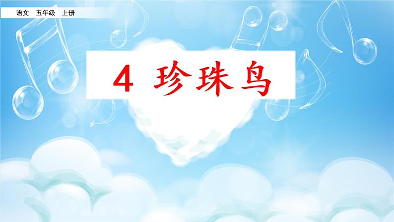 4 珍珠鸟第2页