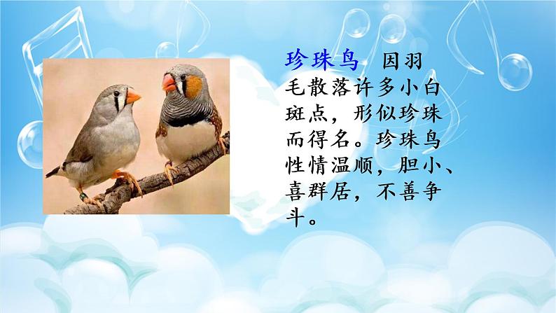 4 珍珠鸟第4页