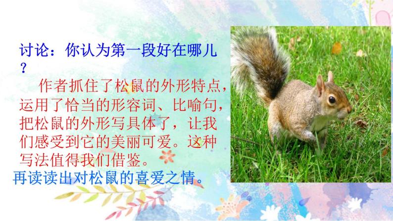 小学语文人教部编版 (五四制)五年级上册17 松鼠示范课课件ppt