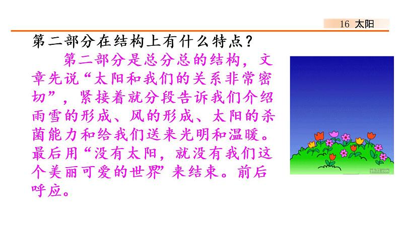 16、太阳 课件08