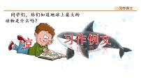 小学语文人教部编版五年级上册第五单元习作例文鲸背景图课件ppt