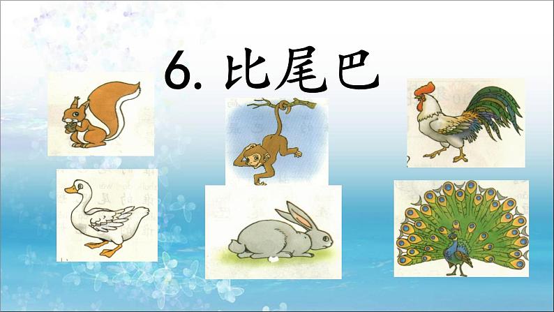 一年级上册第六单元6 比尾巴课件第1页