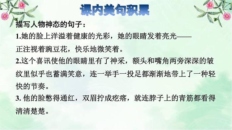 5.一个豆荚里的五粒豆拓展积累课件03