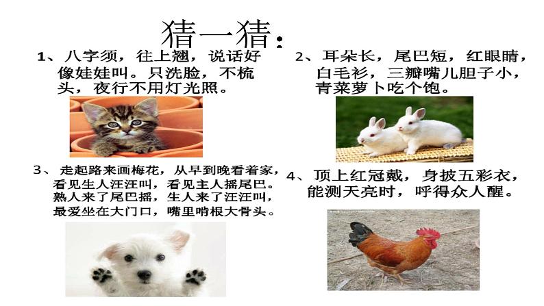 四年级下册语文课件-习作:我的动物朋友-人教部编版(共11张PPT)第1页
