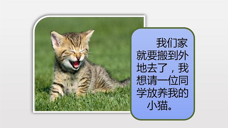 四年级下册语文课件-习作:我的动物朋友-人教部编版(共11张PPT)第5页