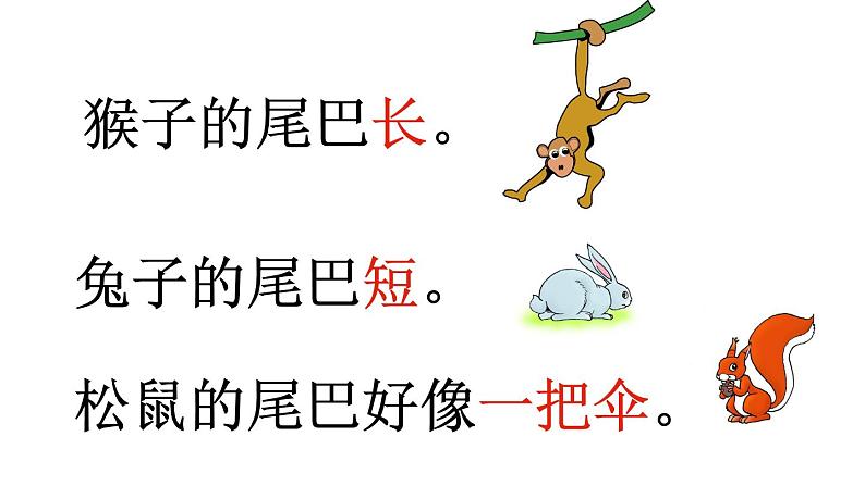 (课堂教学课件)比尾巴第5页